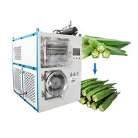 ORME Fruit Freeze Dry Machine Mini Vacuüm Vriesdroger Lyofilisatiemachine Te Koop
