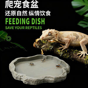 Kertenkele chamemunlar yılanlar için plastik sürüngen su kasesi Geckos boynuzlu kurbağalar kaplumbağalar kaya peyzaj besleme kasesi - Product Image 2