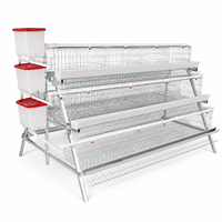 Poulailler industriel automatique économique de grande capacité de type A pour poules pondeuses