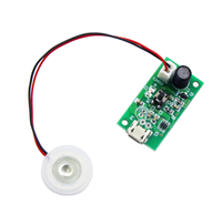 Humidificateur d'air USB avec carte de circuit intégré DC5V Module de plaque d'oscillation Plaque d'atomisation économe en énergie