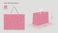 Bolsa de papel de compras personalizada biodegradable reciclable Embalaje Regalo de lujo Nombre de tienda personalizada Idea Bolsas para negocios minoristas