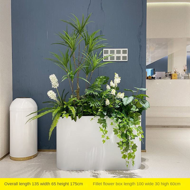 Modèles de jacinthes blanches d'arbre Chlorophytum (hors boîte à fleurs)