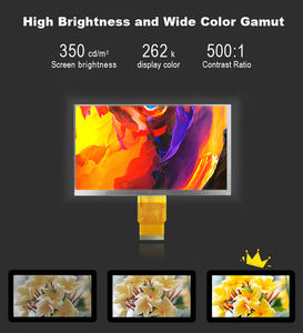 מסך Polcd 7 אינץ' TFT LCM <span class=keywords><strong>800x480</strong></span> EK9716BD4 מנהל IC RGB 24 סיביות ממשק 7 אינץ' תצוגת מודול LCD - Product Image 5