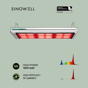 Invernadero Interior Full Spectrum Led 730W <span class=keywords><strong>800W</strong></span> 1200W Reemplazo de 1000W <span class=keywords><strong>HPS</strong></span> para plantas medicinales de interior - Product Image 3