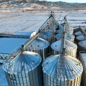 Contenedor de grano de 1000 toneladas, tipos de techo, silos de grano, Silo de arroz de trigo