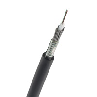 Venta directa de fabricantes de cables modelo GYXTS