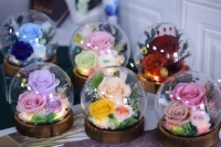 Rose éternelle sous cloche en verre avec lumière LED, double alimentation (batterie et USB), cadeau romantique pour la Fête des Mères et la remise des diplômes