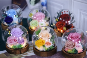 Rose éternelle sous cloche en verre avec lumière LED, double alimentation (batterie et USB), cadeau romantique pour la Saint-Valentin et les anniversaires - Product Image 3