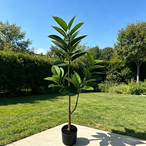 Bonsai Rubber <b>Tree</b> Indoor Landscape Decoration Simulation Plant Decoration Simulation Leaves - Product Image 3