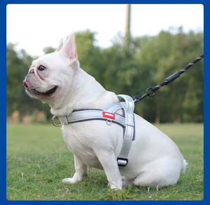 Nuovo Modello di Guinzaglio per Cani con Pettorina e Cinturino Posteriore, Cinghia in Tessuto Più Larga, Patching Abbinato nel Colore, Non Irritante - Product Image 3