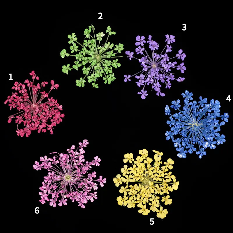 3Dジェルアクリル偽のヒントネイルアートデコレーション用の12色リアルバルクドライドライフラワー