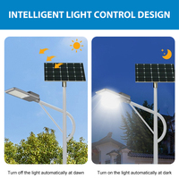 La mejor venta Ip65 Control remoto a prueba de agua 50W 100W 150W 200W 250W 300W 400W Smd Aluminio fundido a presión Led Farola solar