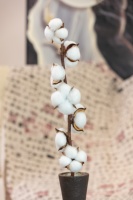 Bunga palsu katun kering alami, DIY dalam ruangan, bunga buatan, dekorasi bunga katun buatan untuk dekorasi