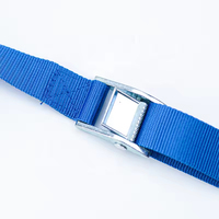 Sangles d'arrimage à boucle à came en polyester 100 % de 25 mm, avec anneau, pour transport, logo imprimé – Vente chaude