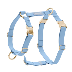 Arnés y Correa Ajustables para Perro, Resistentes al Agua, con Material Recubierto de TPU Premium, para Exteriores, para Mascotas, Éxito de Ventas <span class=keywords><strong>2025</strong></span> - Product Image 1