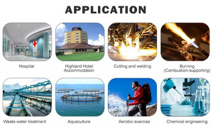 Máy phát điện Hydro methanol/khí tự nhiên/Amoniac lỏng nứt để sản xuất 99.999% với hệ thống lọc Hydro - Product Image 4