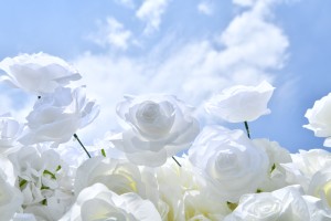 Toile <span class=keywords><strong>de</strong></span> fond murale florale Real Touch soie fleur panneau église décoration élégant Rill tissu fleur rideau toile <span class=keywords><strong>de</strong></span> fond <span class=keywords><strong>fleuriste</strong></span> boutique - Product Image 2