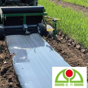 Film de paillage agricole en PE noir de 30 microns pour la protection des cultures et des légumes - Product Image 5