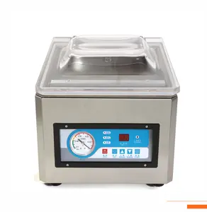 Automatic Dz260 Vacuum Packing Machine Stand Up Pouch Packing Machine Vacuum Sealer