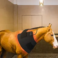 Kinreen 350 पूर्ण शरीर लाल प्रकाश चिकित्सा 660nm 850nm घोड़े के लिए निकट अवरक्त एलईडी प्रकाश चिकित्सा की चादर
