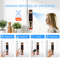 Serrure intelligente WiFi Tuya App pour porte en bois, en aluminium CNC, avec reconnaissance faciale, stockage sur carte mémoire cloud, pour la maison et le bureau