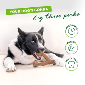 Jouet à mâcher durable pour chien, saveur bacon, poulet, bœuf, cacahuète, bois, en plastique de qualité alimentaire, pour mâcheurs agressifs, jouet en nylon en forme d'os - Product Image 4