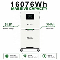 Batterie de stockage d'énergie solaire domestique hybride LiFePO4 51,2 V 314 Ah 16 kWh avec BMS intelligent intégré, étanche IP65, CAN, RS485, 6000 cycles