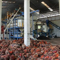 Palmolieverwerkingslijn, palmolie-extractiefabriek, leverancier van palmoliepersmachines
