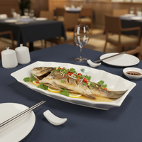Assiette Créative Nordique en Mélamine de Qualité Alimentaire Écologique, Forme Irrégulière Allongée, avec Décalque Logo Restaurant, en Céramique et Plastique