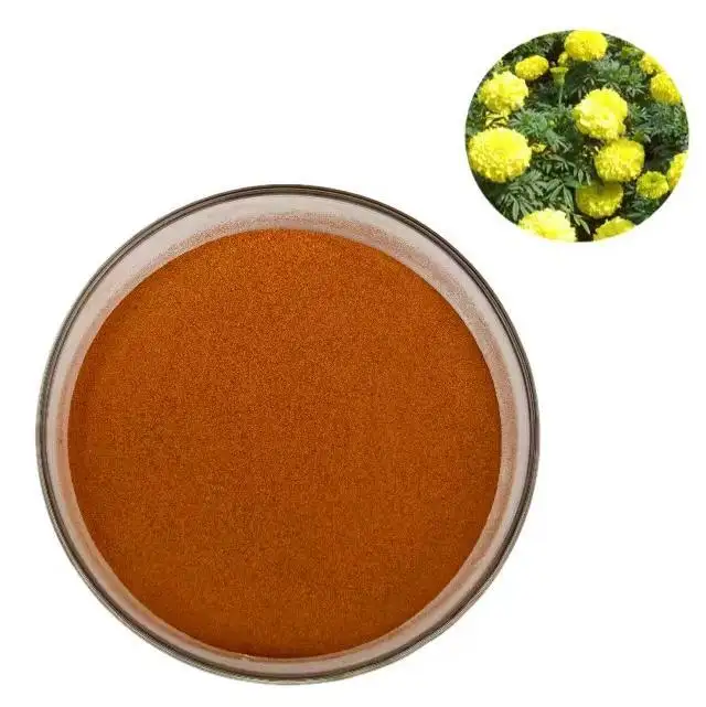Extrait de fleur de Marigold naturelle, zeaxutin Lutein 10%, 1 pièce, meilleur prix
