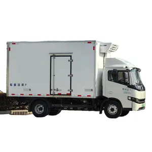 New energy electric automatic 4x2 custom transport vegetables, food and fish frozen refrigerated van