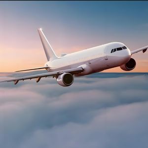 <span class=keywords><strong>Service</strong></span> DDP Transporteur international Qualité Entreprise de logistique express Offre Spéciale de la Chine vers les États-Unis, le Canada, le Royaume-Uni et le Royaume-Uni - Product Image 3