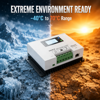 Controlador de Carga Solar MPPT YILIE 12V 24V 260W 520W, Regulador Automático para Baterías de LiFePO4, Gel y Plomo-Ácido, Venta al Por Mayor de Fábrica