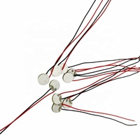 Elemen Cakram Piezoelektrik PZT 10x1mm untuk Sensor Pengukur Aliran Ultrasonik dan Sistem Deteksi