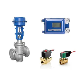 Chinese Pneumatic Control Valve with Spirax Sarco Valve Positioner and High Flow ASCO Solenoid Valve