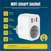 Enchufe Inteligente WiFi Tuya Smart OEM 16A EU Schuko con Monitor de Energía USB a C
