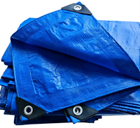 Bâche en PE imperméable avec une gamme complète de tailles et liste de prix d'usine