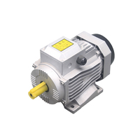 Moteur à induction monophasé à double condensateur standard chinois WOMA 220v haute efficacité 50/60hz 2800RPM 0.55KW 0.75HP
