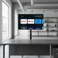 Televisor Inteligente Portátil de 24 Pulgadas con Retroiluminación LED Negra, Android 15, 6GB, 128GB, Pantalla Táctil Capacitiva, Fabricante OEM