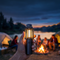 Lampe anti-insectes portable 3-en-1 pour la randonnée, le camping et les voyages – Nouveau modèle avec service d'expédition rapide – Lampe torche anti-moustiques en ABS pour le camping