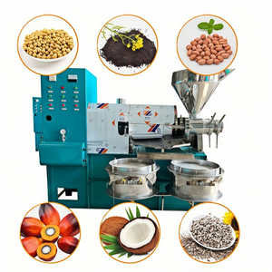 Automatic Cold & Hot Pressing Peanut/Rapeseed <b>Oil</b> Making <b>Machine</b> 40-80kg/h Energy Saving 220V - Product Image 3