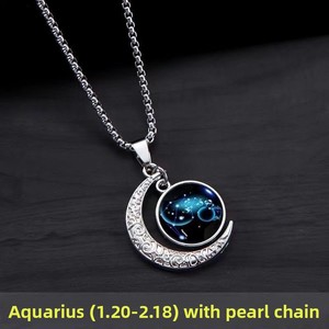 Collana con Catena a Serpente in Lega dei 12 Segni Zodiacali, Gioiello Retrò Hip Hop Personalizzato, Regalo per Coppie - Product Image 4