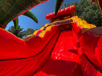 Aire de jeux commerciale à double voie pour fêtes, toboggan gonflable géant pour adultes, enfants, arrière-cour, sec et humide avec piscine