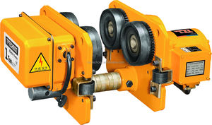 Katrol rantai listrik hewan peliharaan pemeliharaan rendah dengan kait kerekan rantai listrik tanpa batas - Product Image 3