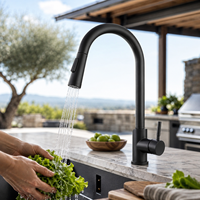 Robinet d'eau en acier inoxydable moderne de luxe noir mat sur pied, monotrou, avec rotation à 360 degrés