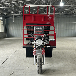 Heavy-Duty Motorized <b>Gasoline</b> Lift Tricycle 200cc Water-Cooled 1T Load Capacity for Warehouse Construction Farm Use Customizable - Product Image 2