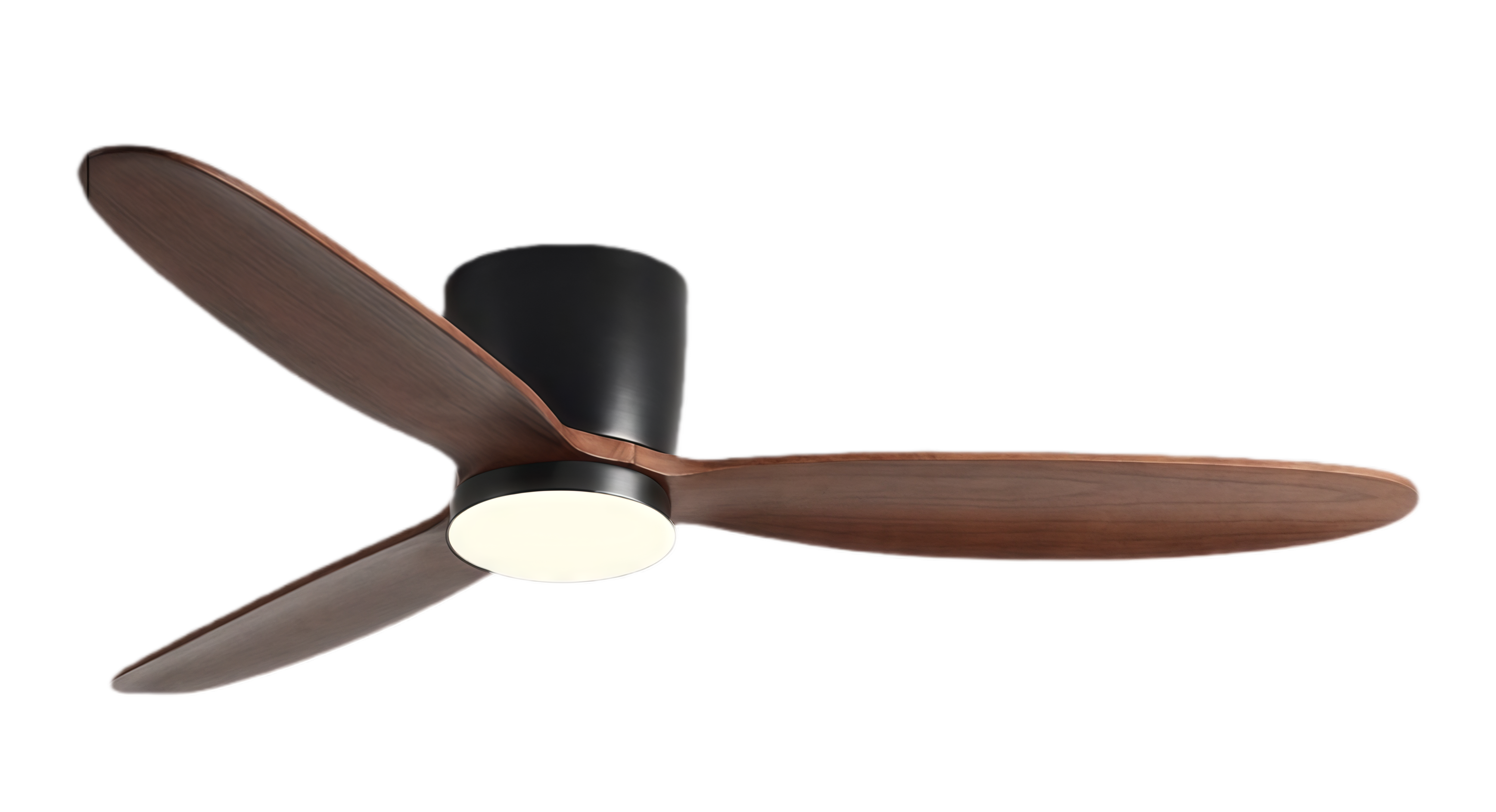 วอลนัทดำ