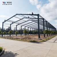 Hangar de Estructura de Acero Prefabricada, Nave Metálica Económica, Almacén de Estructura de Acero Prefabricada