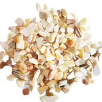 Natural Crushed Mother of Pearl Shell Gravel Chips for Terrazzo