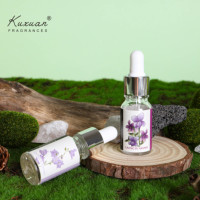 Huile essentielle de 10 ml pour diffuseur d'aromathérapie, huile à pipette, parfum floral et fruité pour aromathérapie, désodorisant d'air en pierre